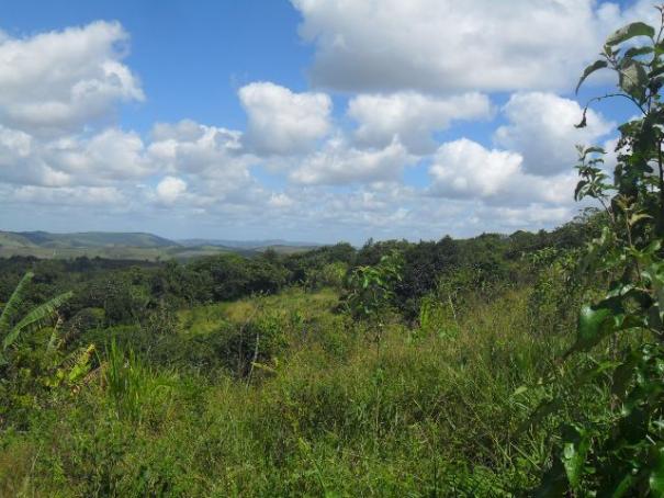Fazenda Santana - Gravatá/PE - Zona Rural - Foto 8