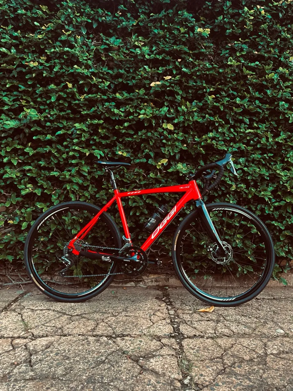 Bicicleta oggi velloce disc