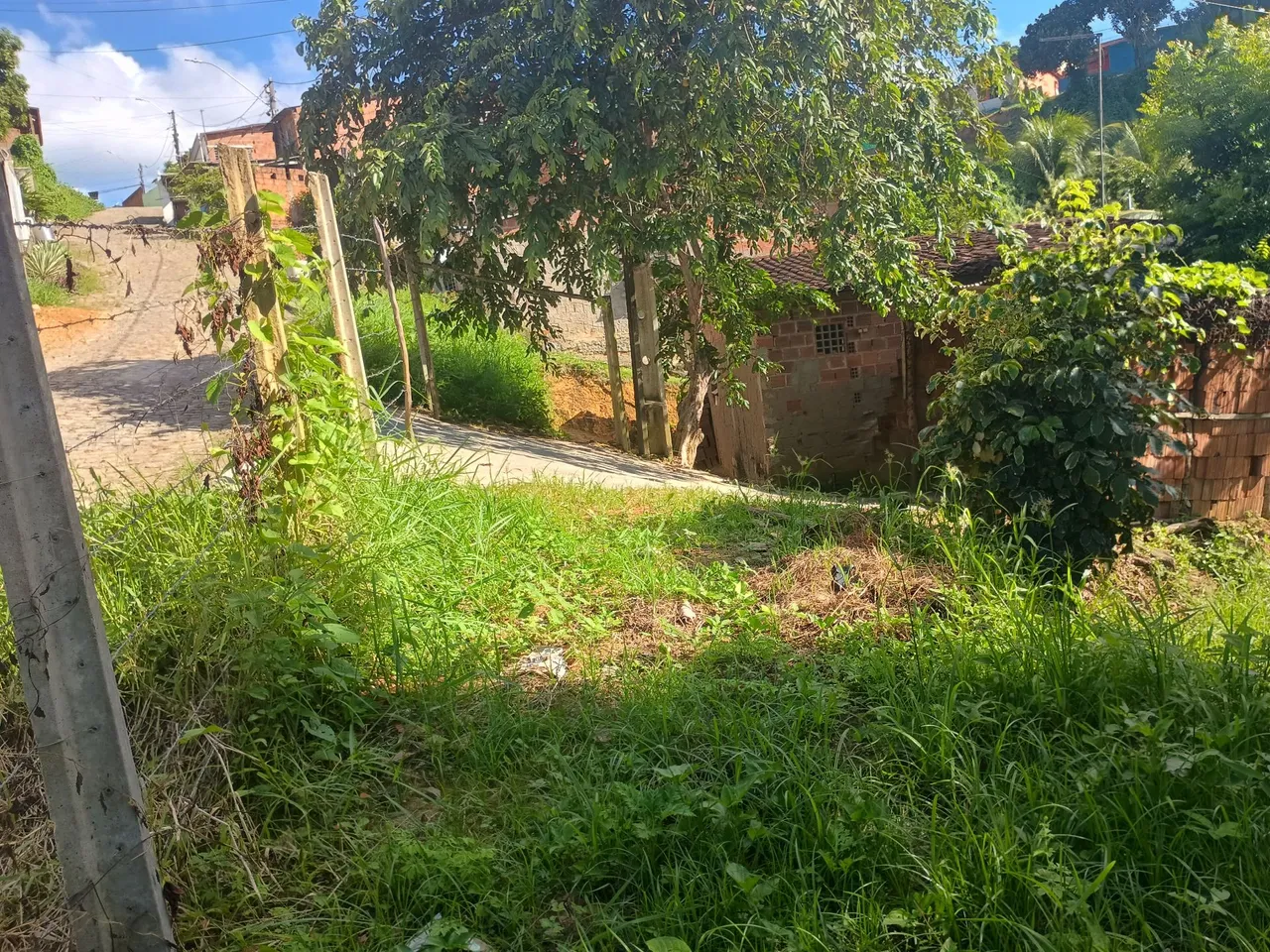 Dóis terrenos