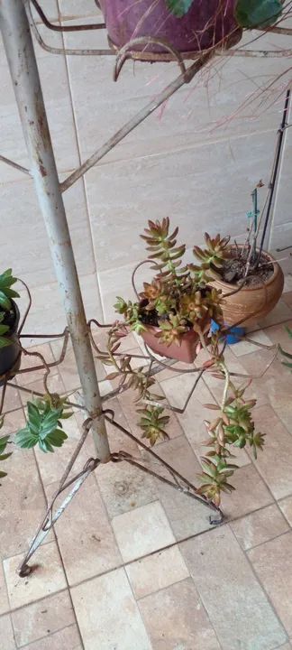 Estou vendendo vários vasos e suporte plantas  - Foto 5