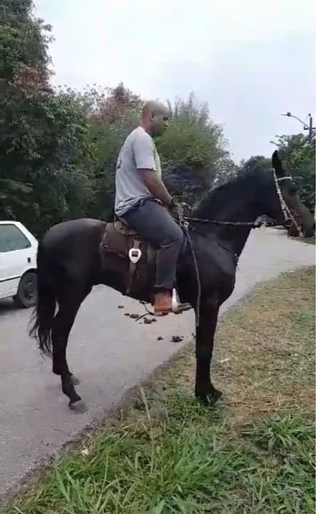 Cavalo manga larga machador - Foto 4