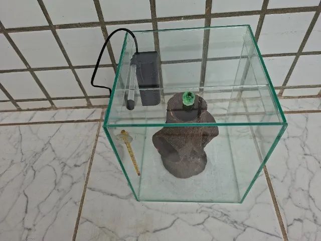 Aquário Cubo 13L com Filtro e Enfeite - Foto 4