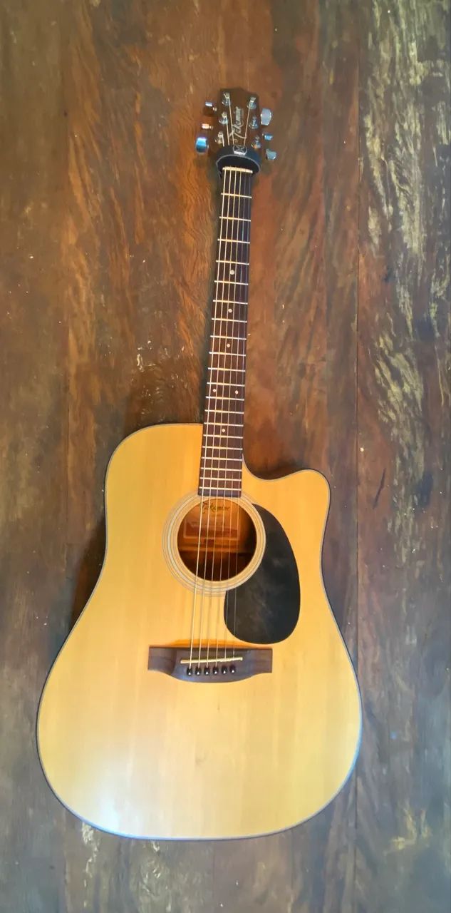 Takamine Viola 320