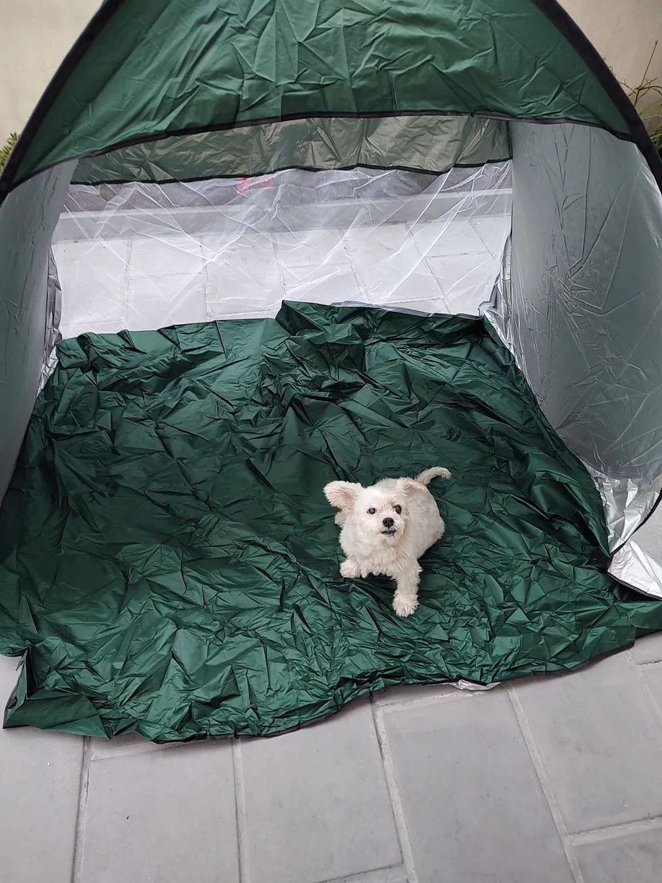 Barraca de praia para o verão  - Foto 5