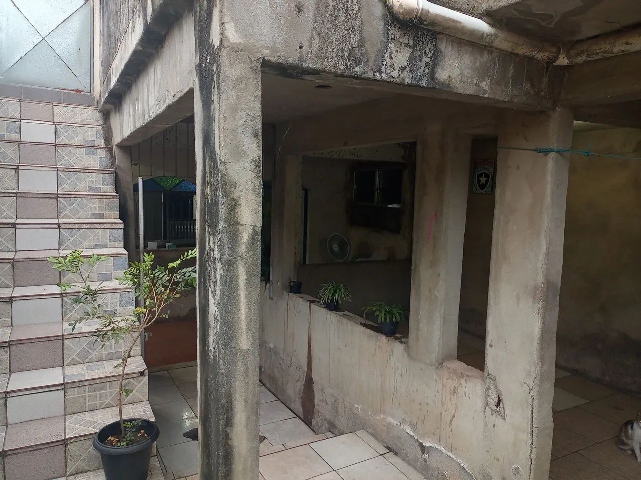 Foto - São Gonçalo - Boaçu