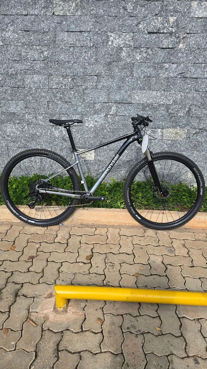 Cannondale Trail SL 4