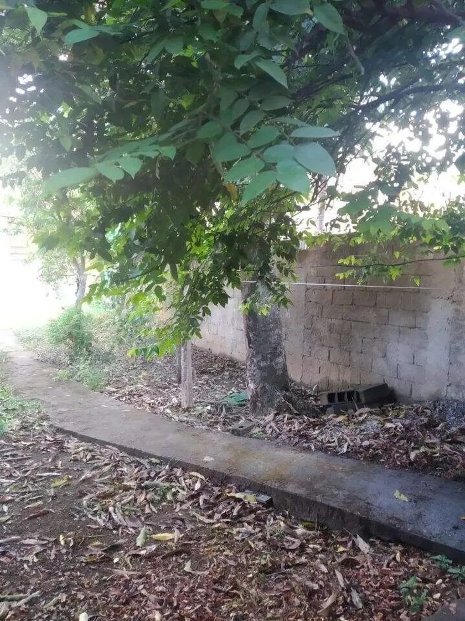 Casa à venda, 5 quartos, 1 suíte, Centro - Ponte Nova/MG - Foto 4