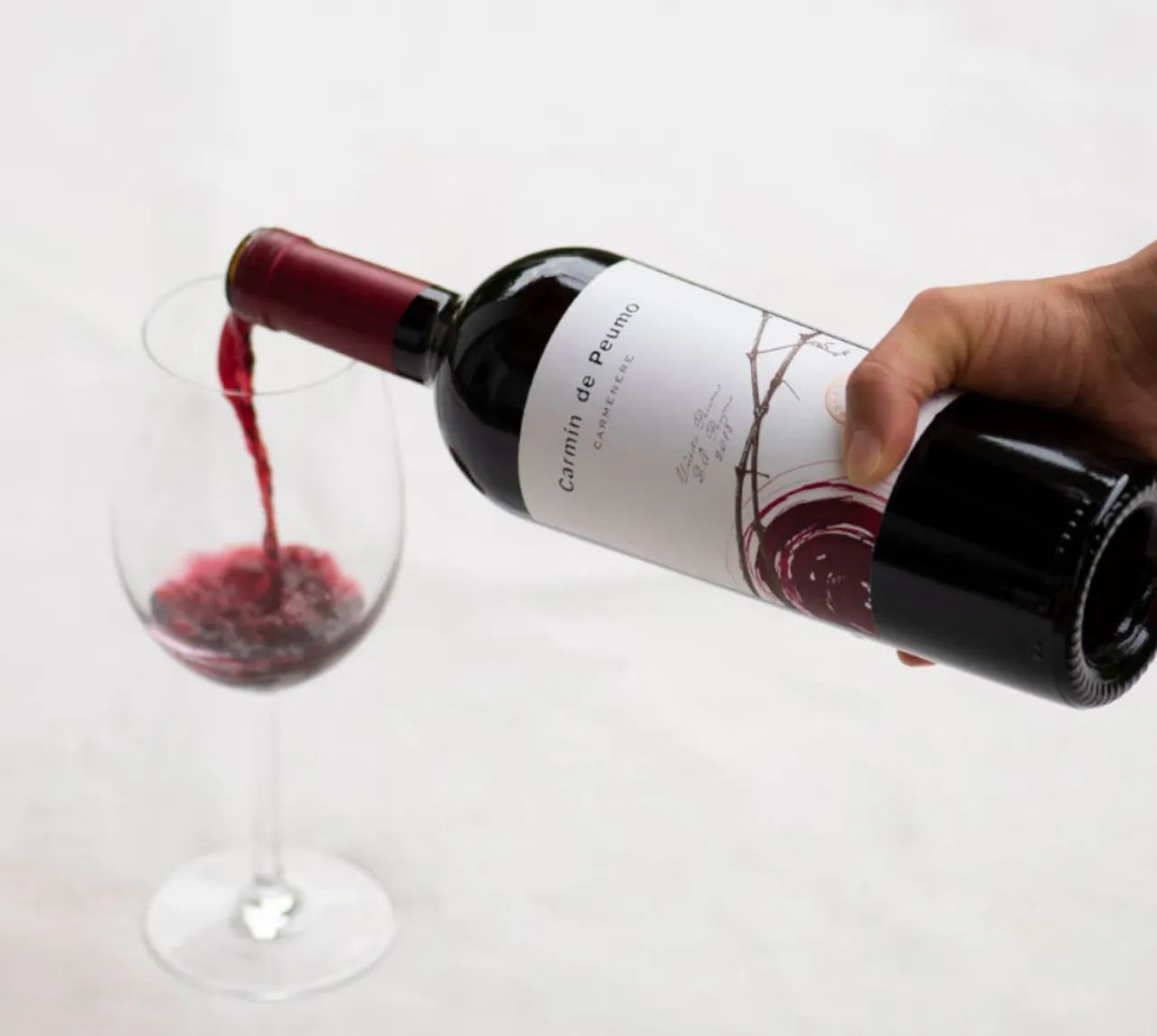 Carmin de Peumo 6 Unidades 