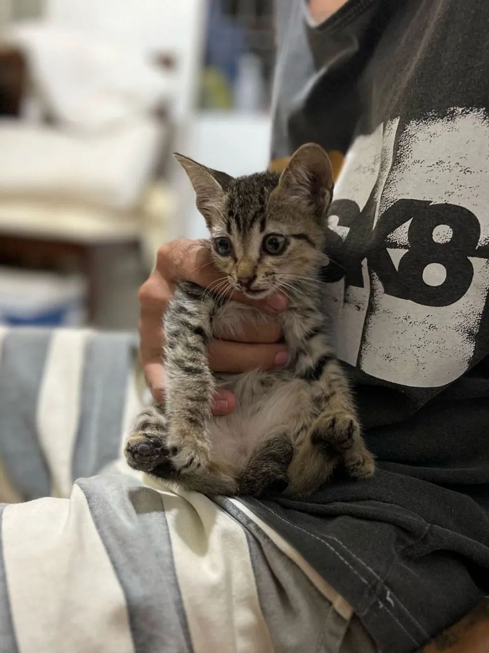 Procurasse um lá  - Foto 2