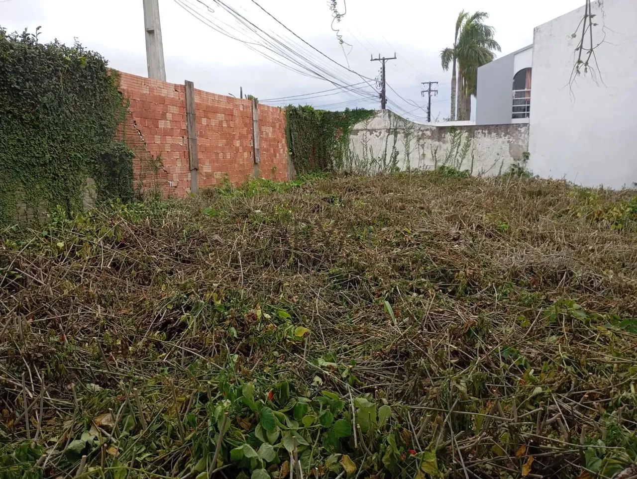 Terreno à venda no bairro Piçarras ARYA1 - Foto 2