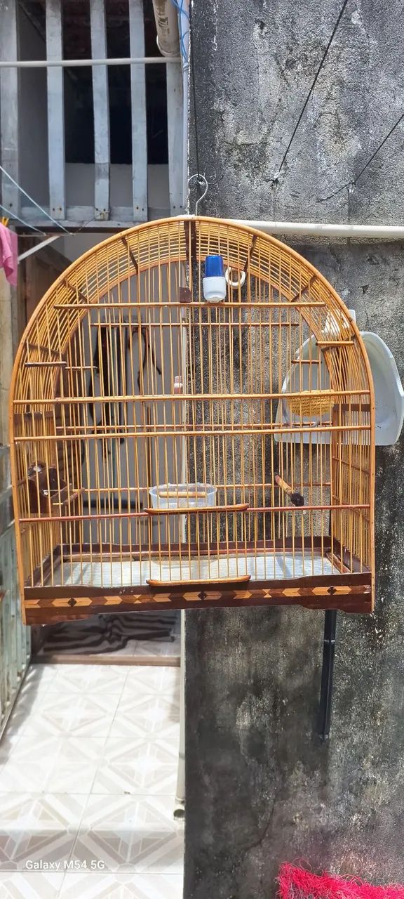 Gaiola 64673065584643120