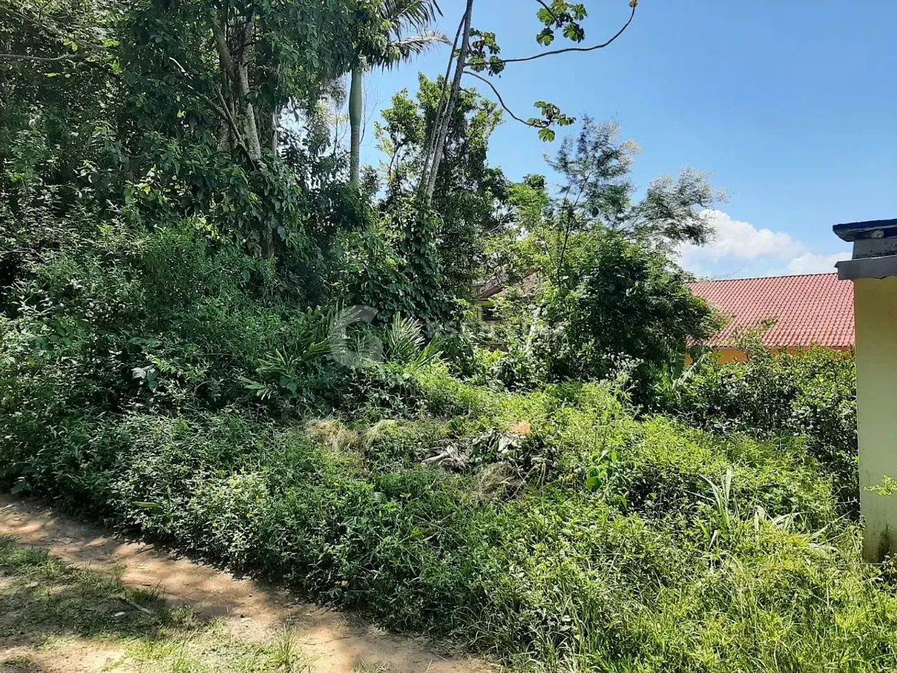 Terreno - Quilombo - Foto 3