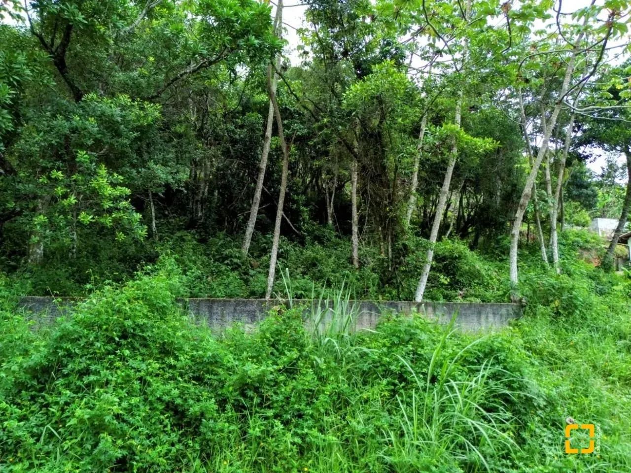 Descubra o seu refúgio perfeito neste incrível terreno à venda em Sambaqui.Apresentamos um - Foto 2