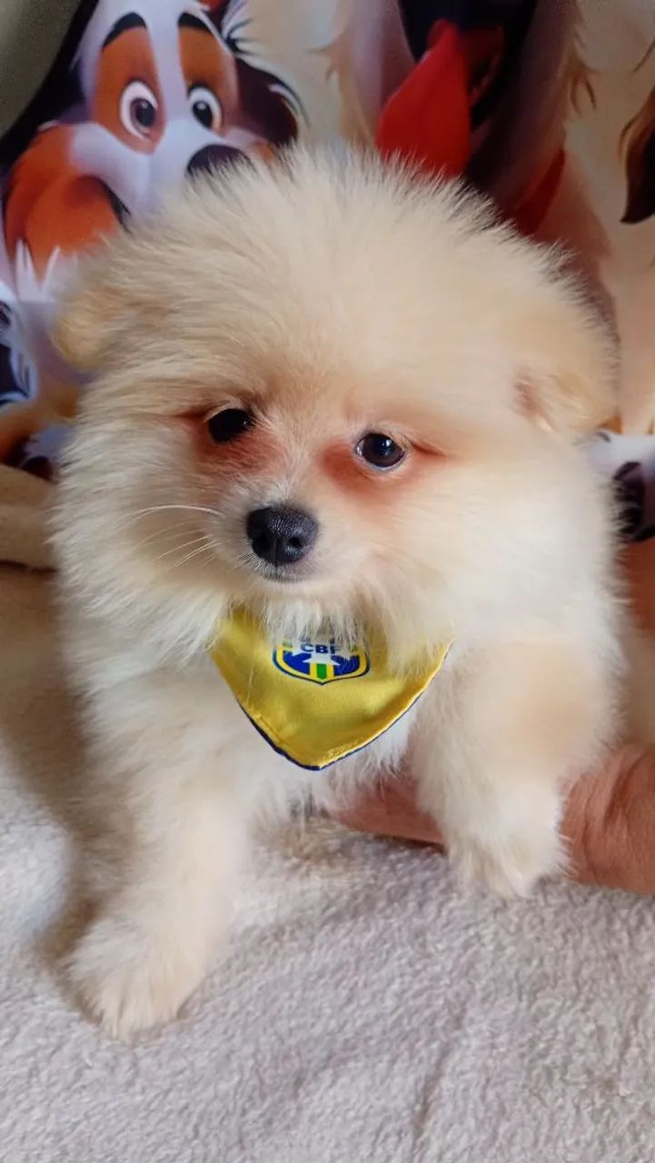 Que bebê lindo ? - Foto 2