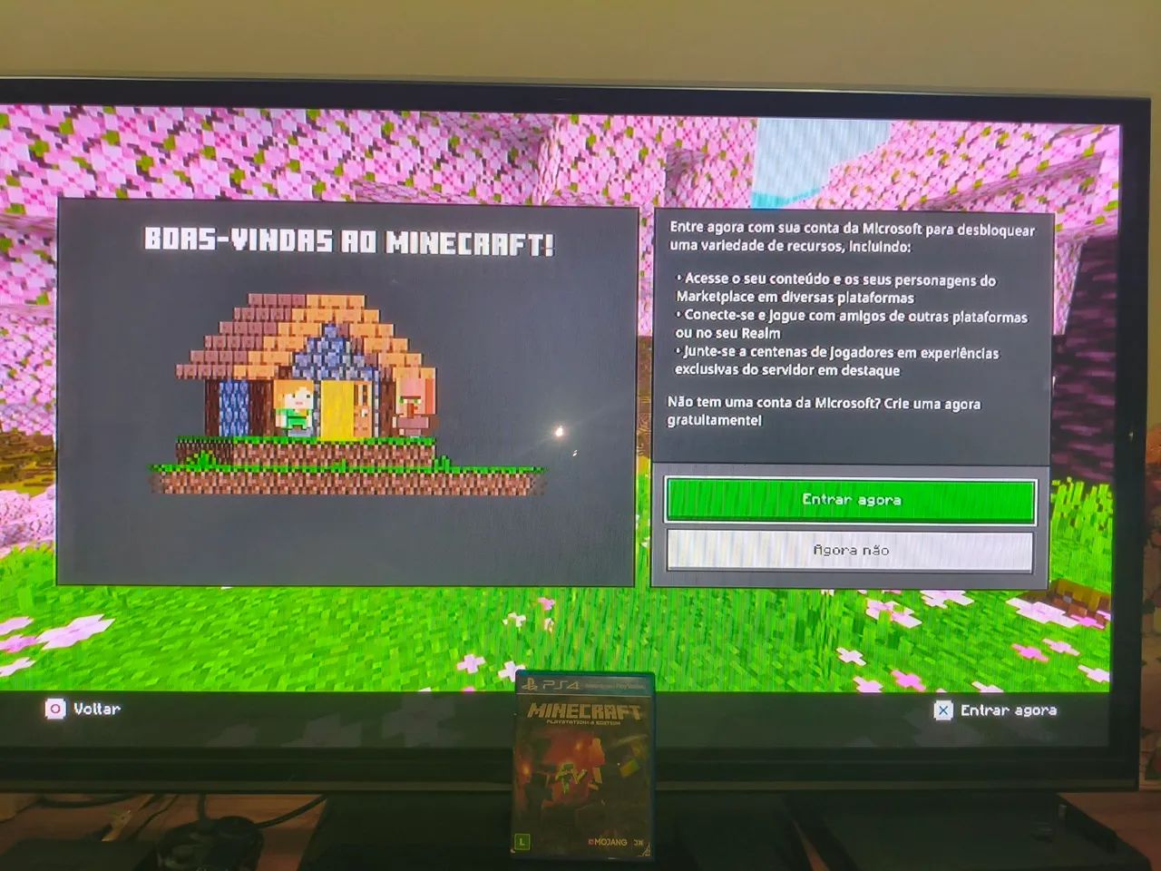 Minecraft Playstation 4 - Foto 2