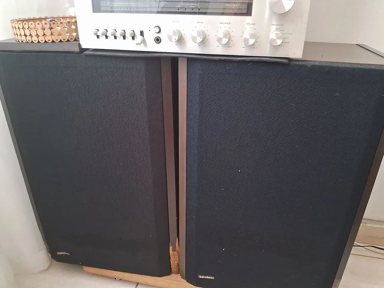 Caixa Acústica Master 100 Gradiente 