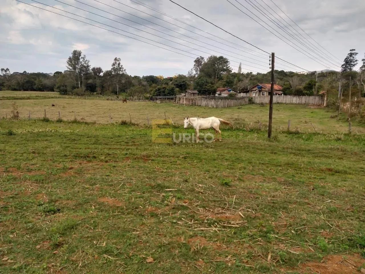 Terreno à venda no Rio Do Peixe em Cambuí/MG - Foto 4