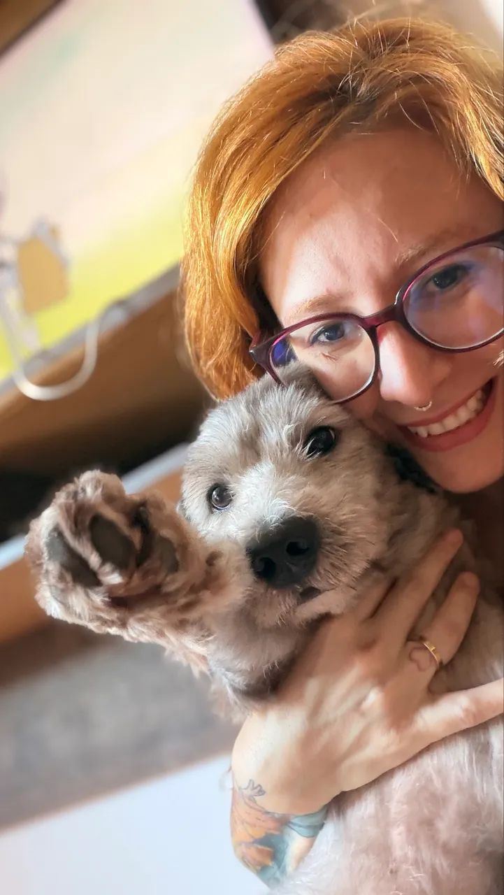 Petsitter - Babá de animais - Gato, Cachorro, Coelho - Foto 4