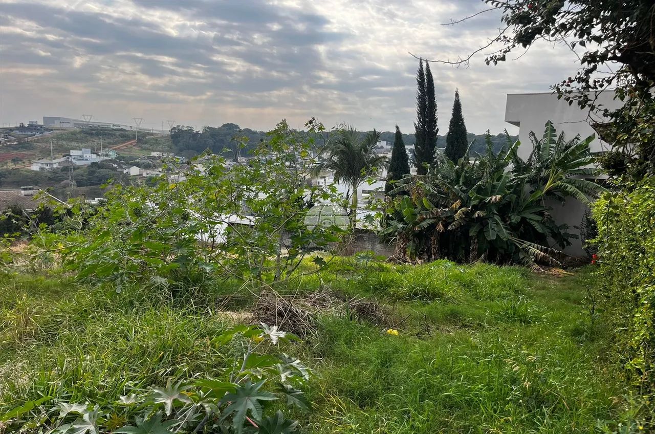 Vendas Terreno Pato Branco PR - Foto 3