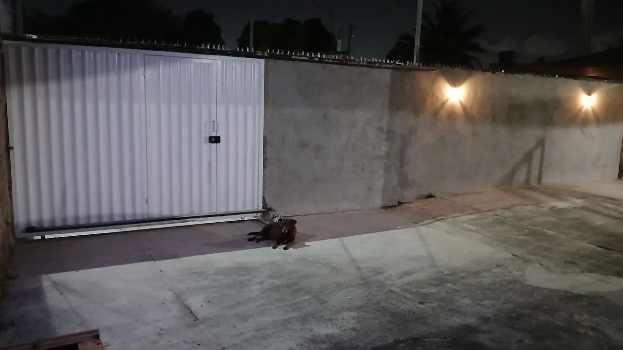 Foto - Dias DÁvila - 
