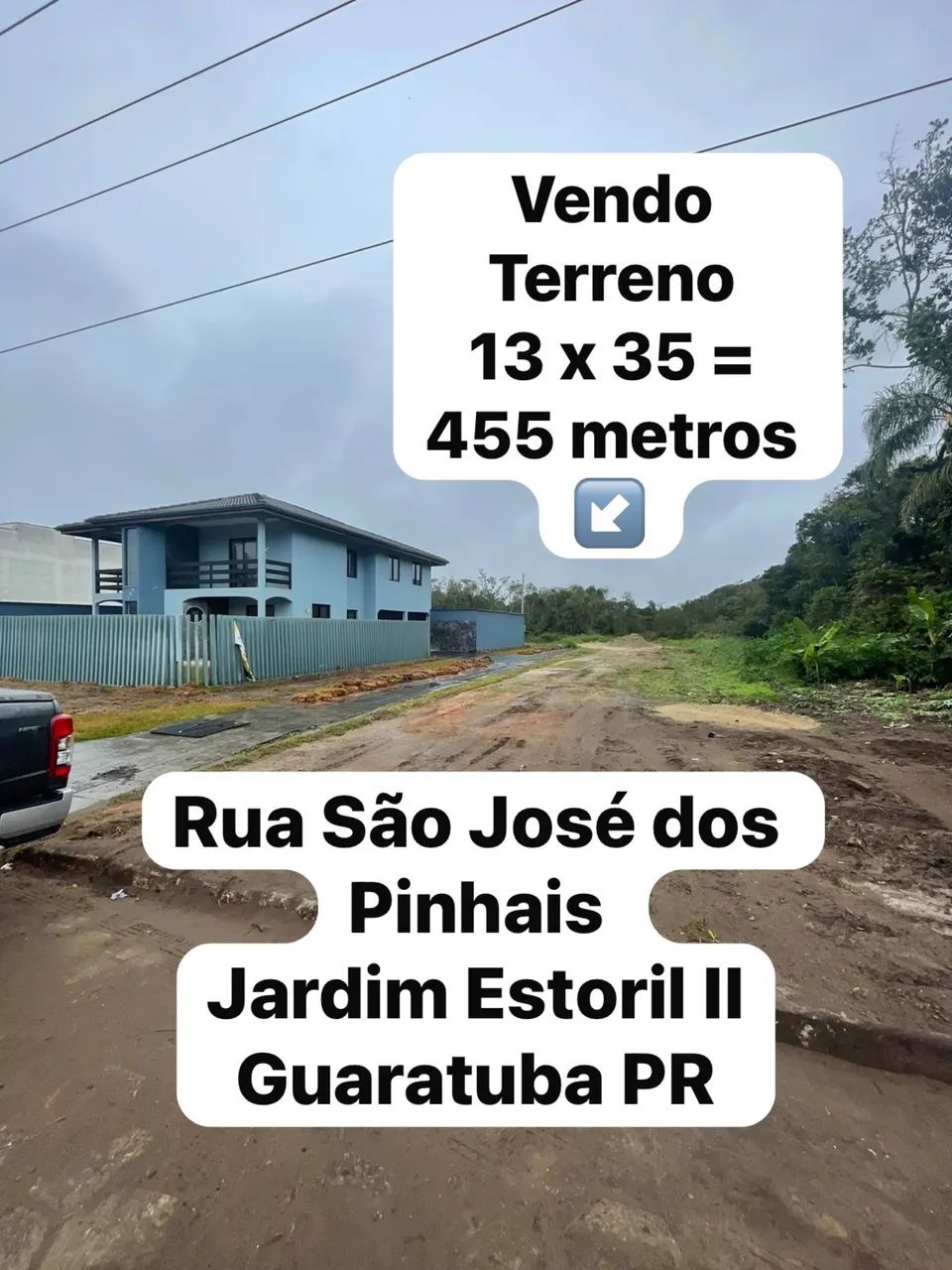 Foto - Araucária - Porto das Laranjeiras