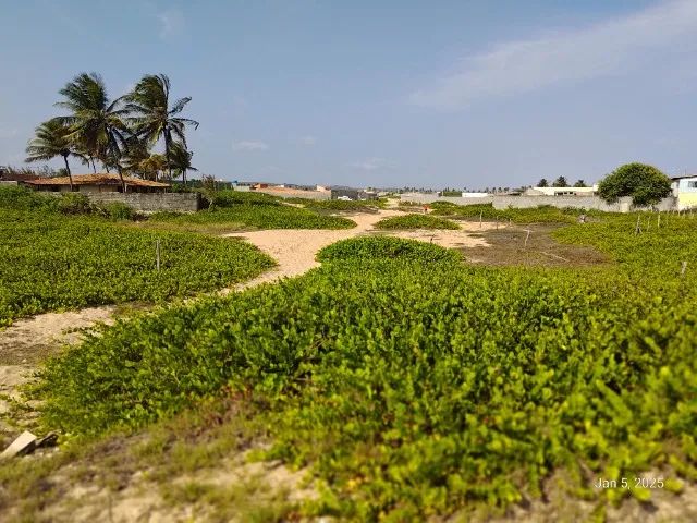 Terreno em Pirambu-SE - Foto 4