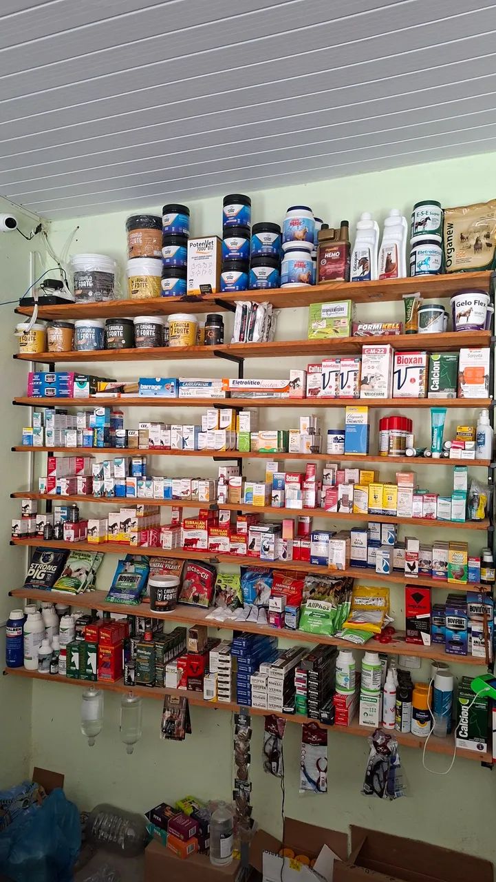 Redias, cabeçadas, selas, cavalo, perneira - Foto 2