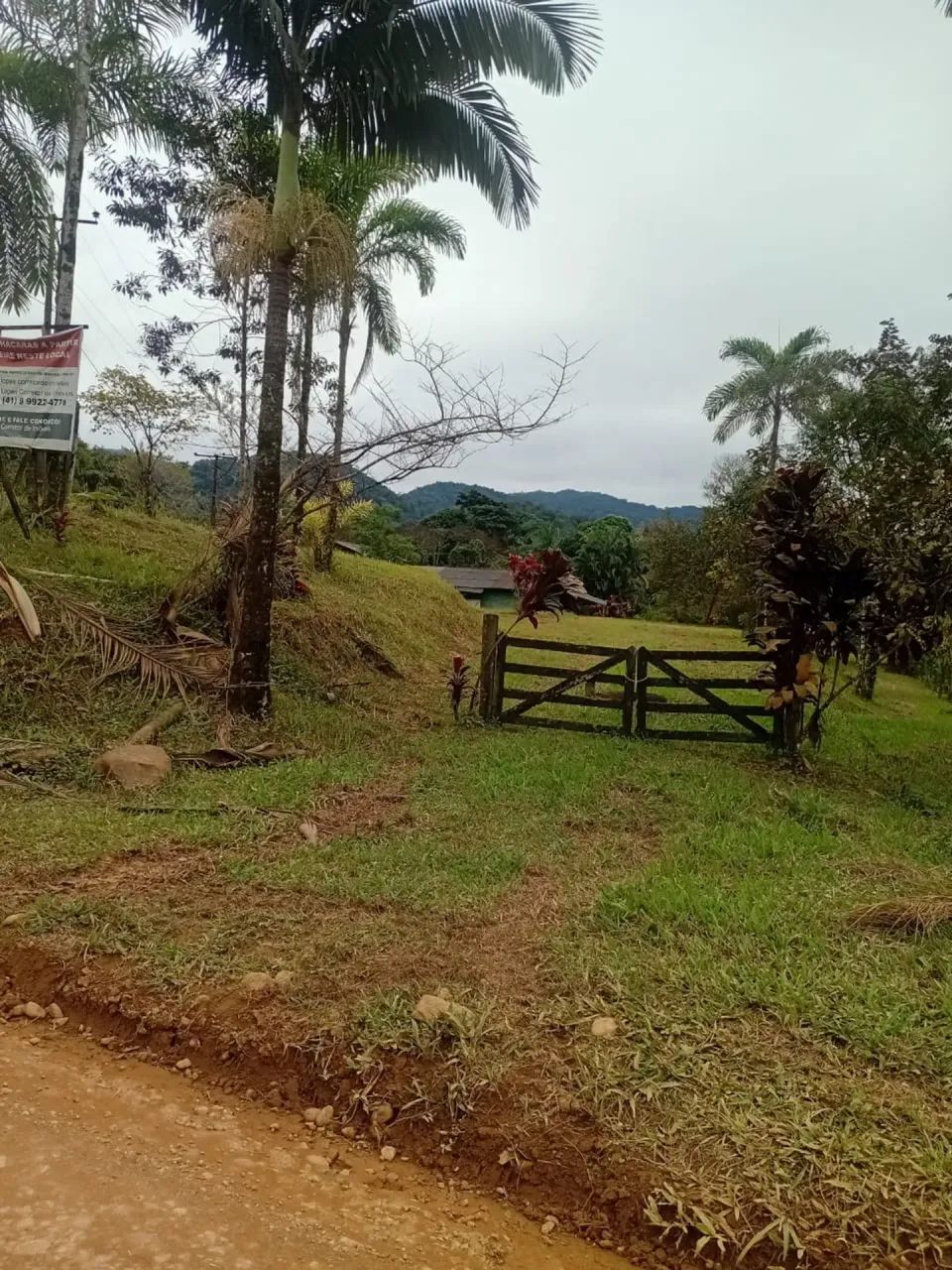 Chácara à Venda em Potinga  Guaraqueçaba/PR - Foto 2