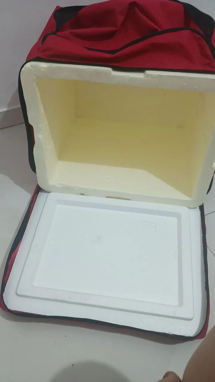 BAG TÉRMICA PARA DELIVERY - Foto 3