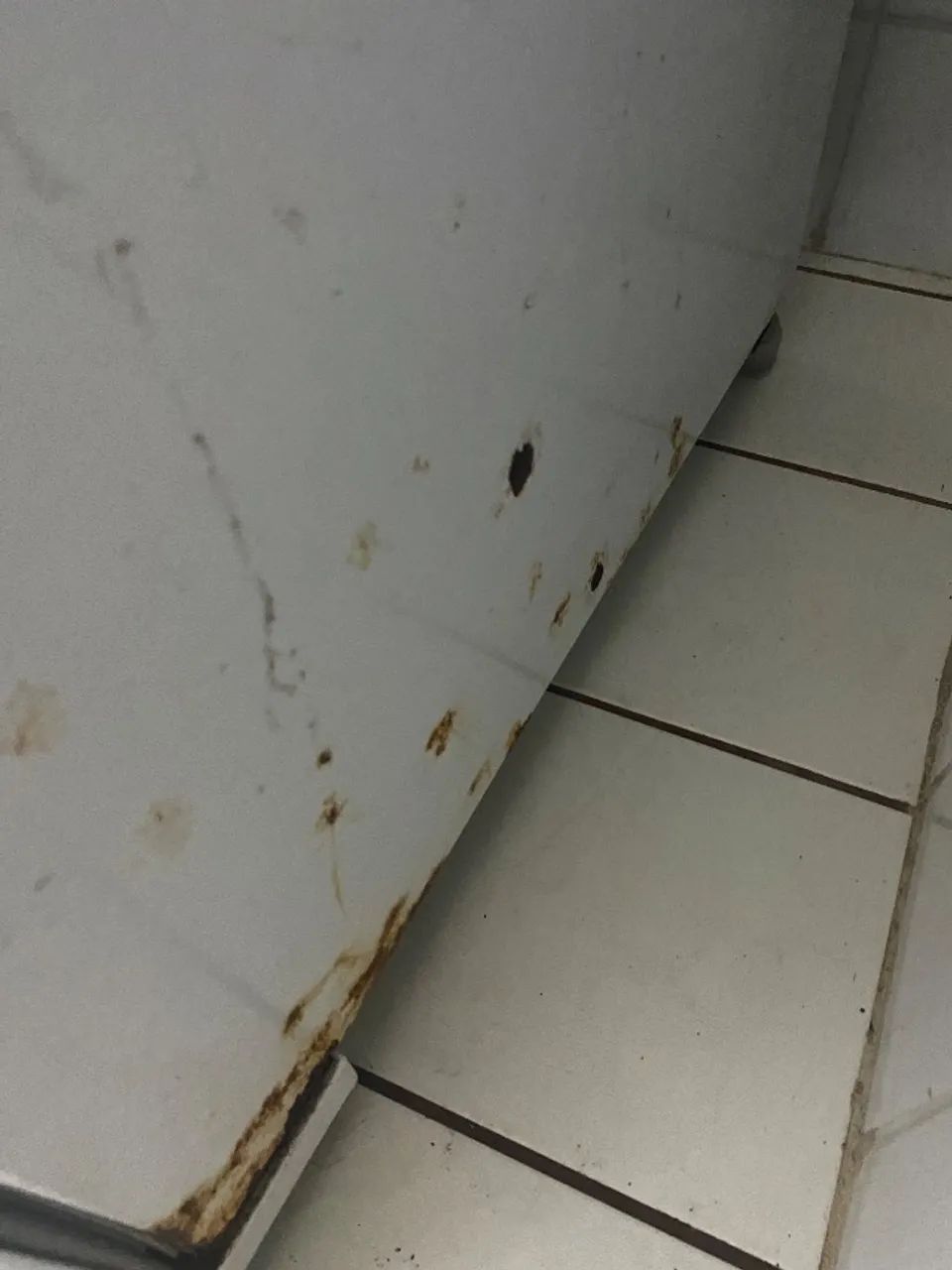 Electrolux DC44 - Foto 4