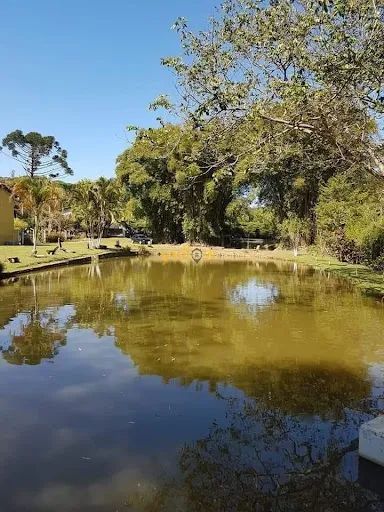 Rural Sítio em Santa Isabel - Foto 3