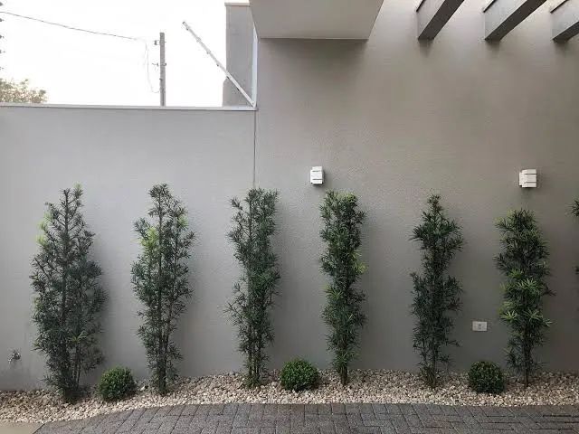 Sou JARDINEIRO  - Foto 5