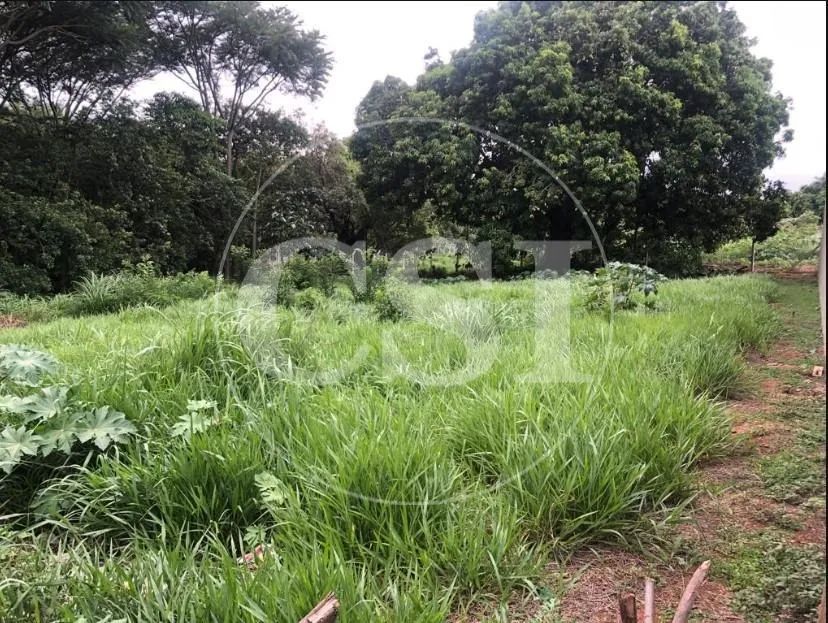 terreno - Cidade Universitária - Campinas - Foto 4