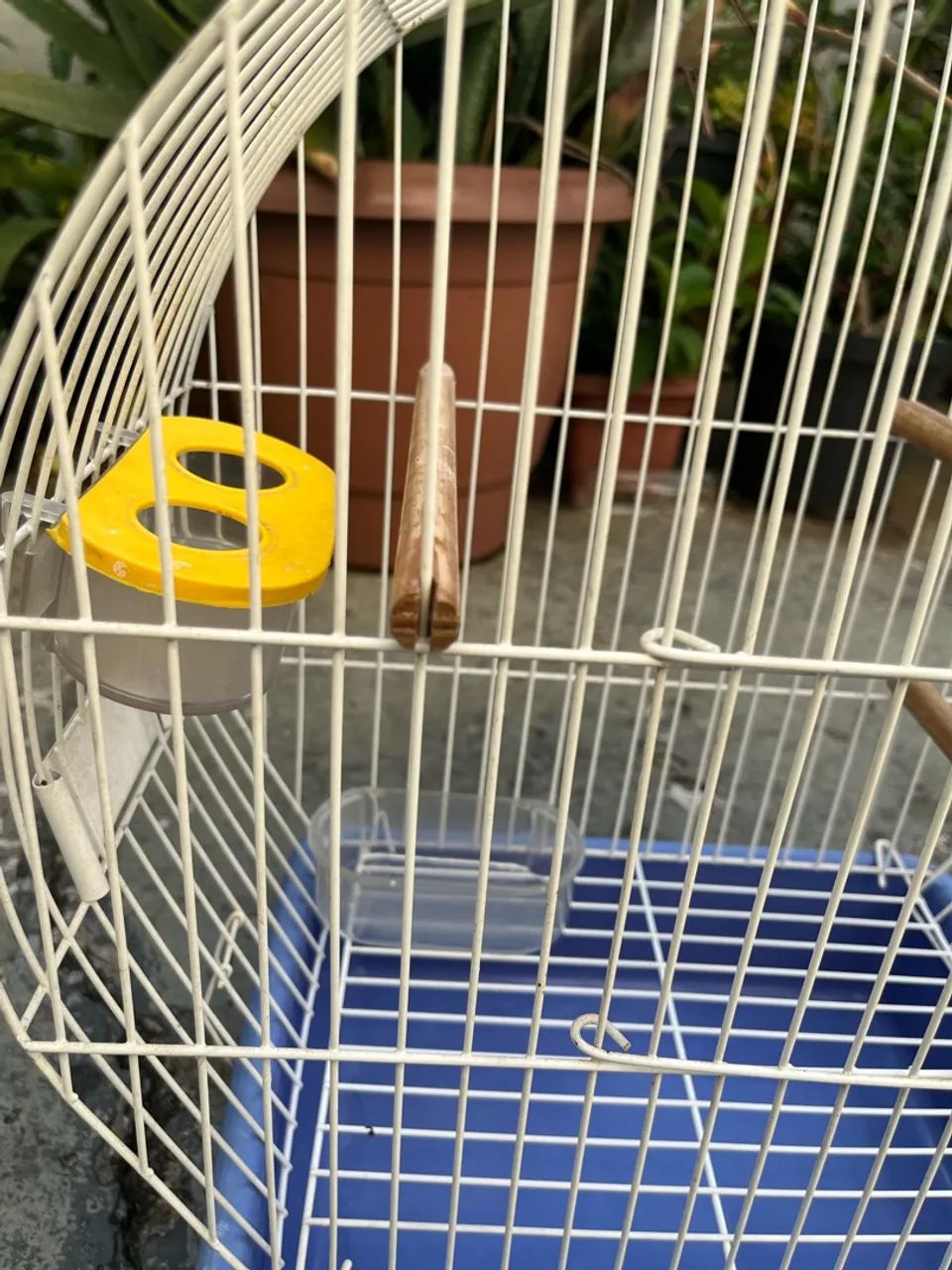 Gaiola - Foto 4