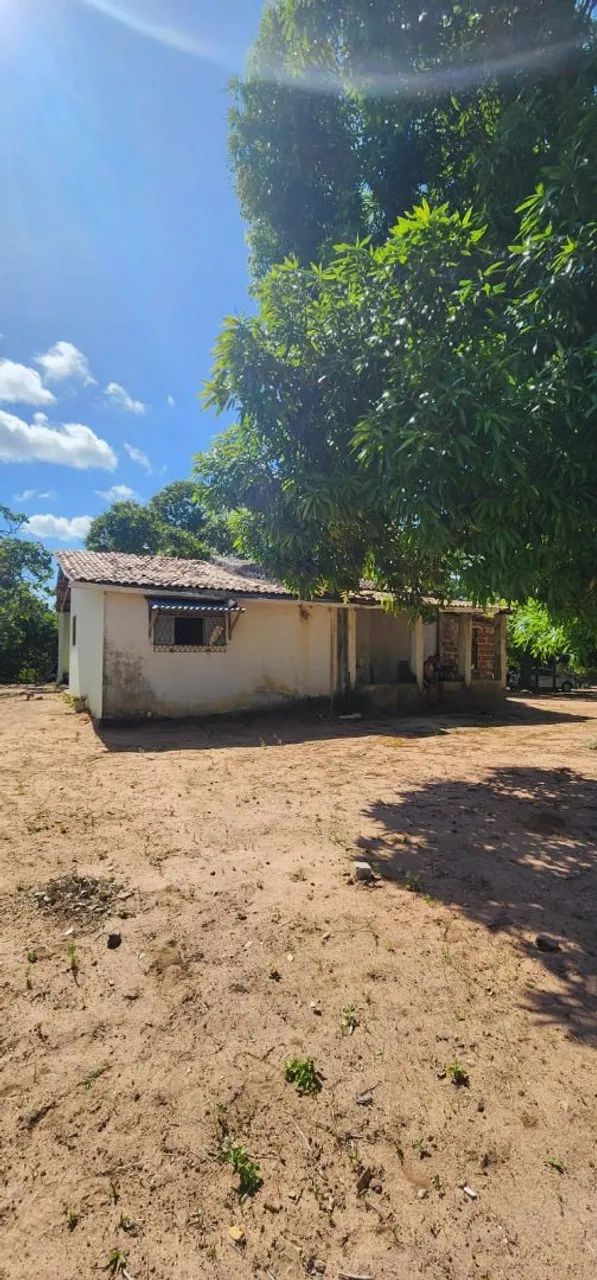 Terreno em Macaíba  - Foto 4
