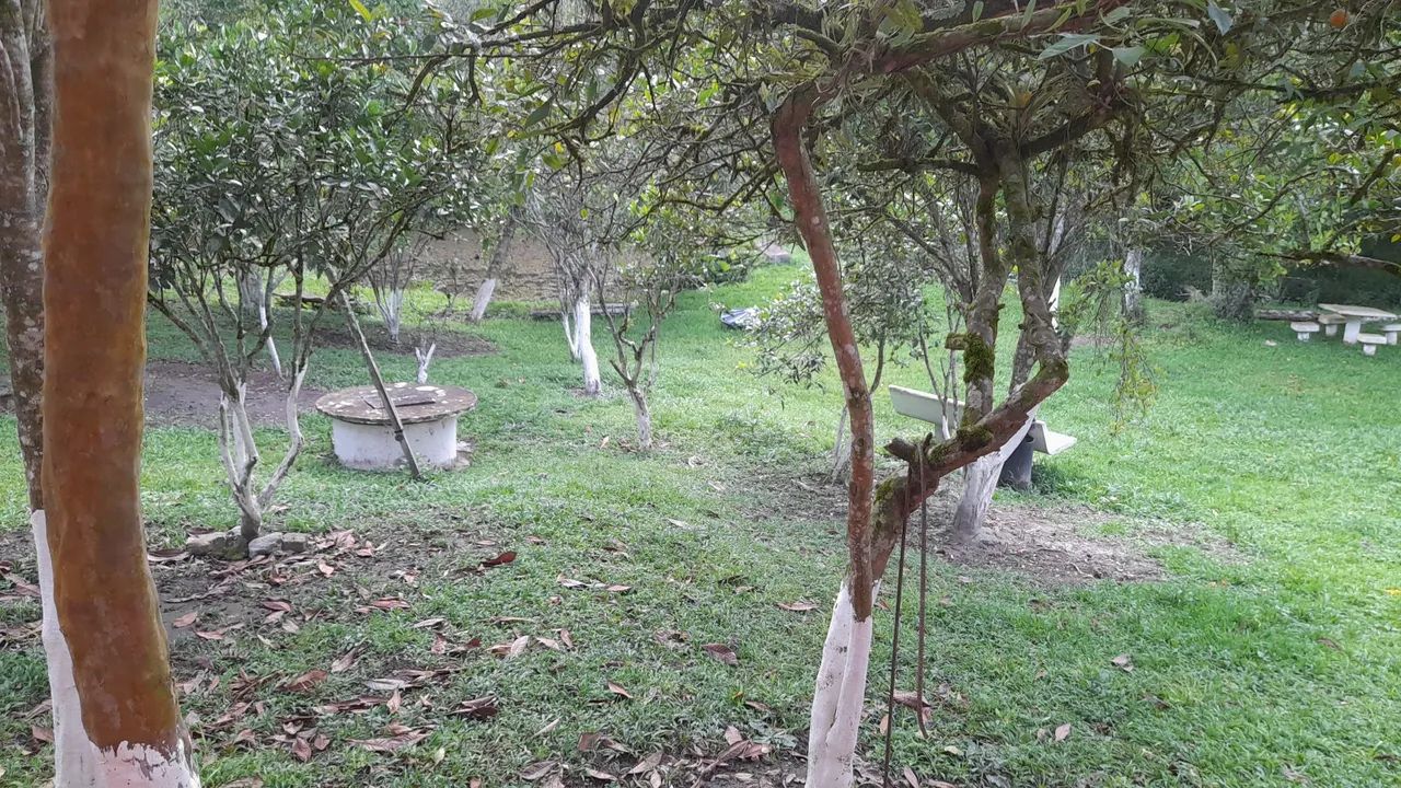 Sitio em Embu Guaçu  - Foto 3