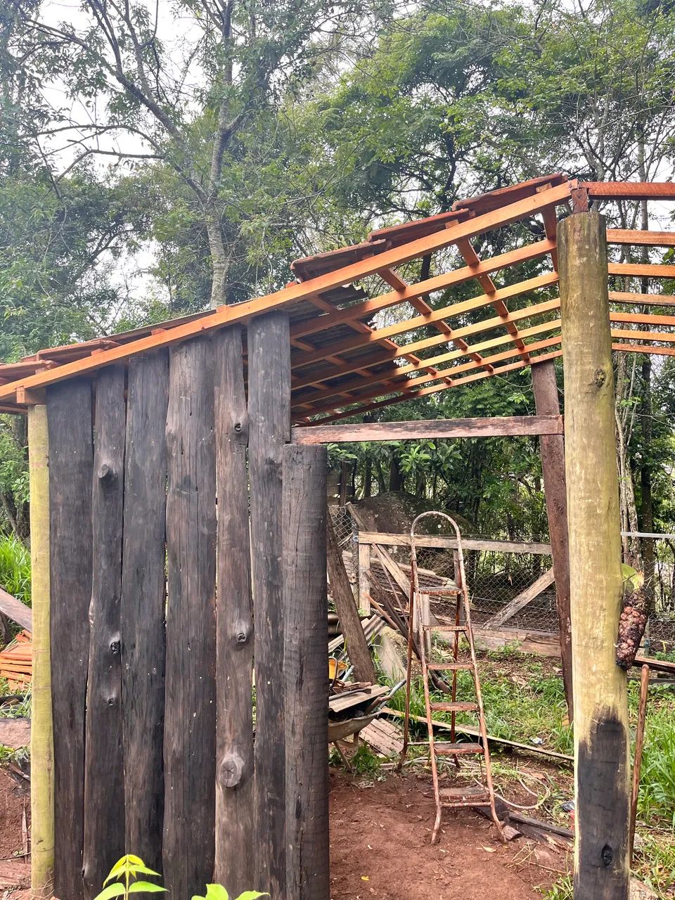 Chácara em formação em São roque  - Foto 3