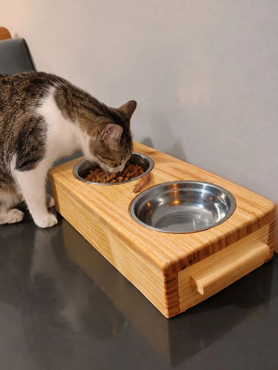 Comedouro para gato