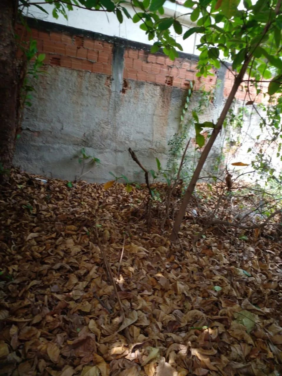 Foto - Nilópolis - Centro