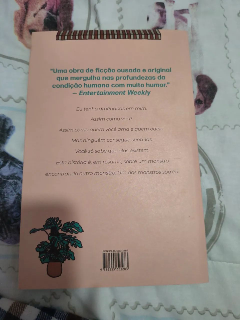 Amêndoas  - Foto 2