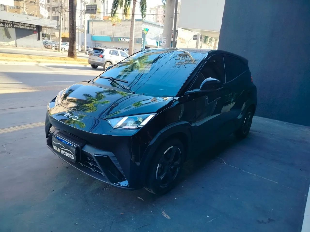 BYD Dolphin Mini (Elétrico) 2025 - Foto 2