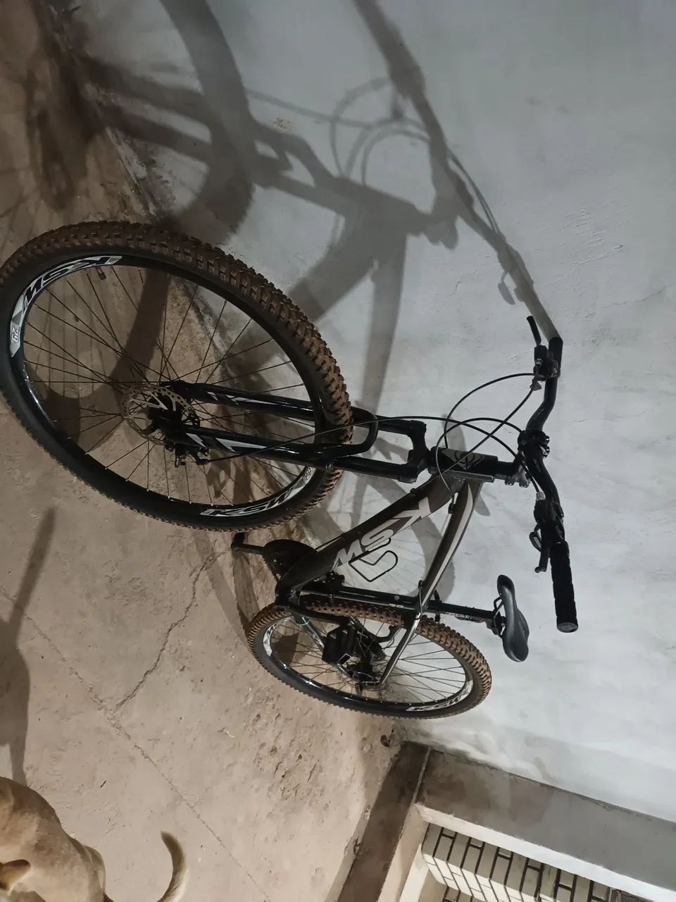 Bicicleta - Foto 2