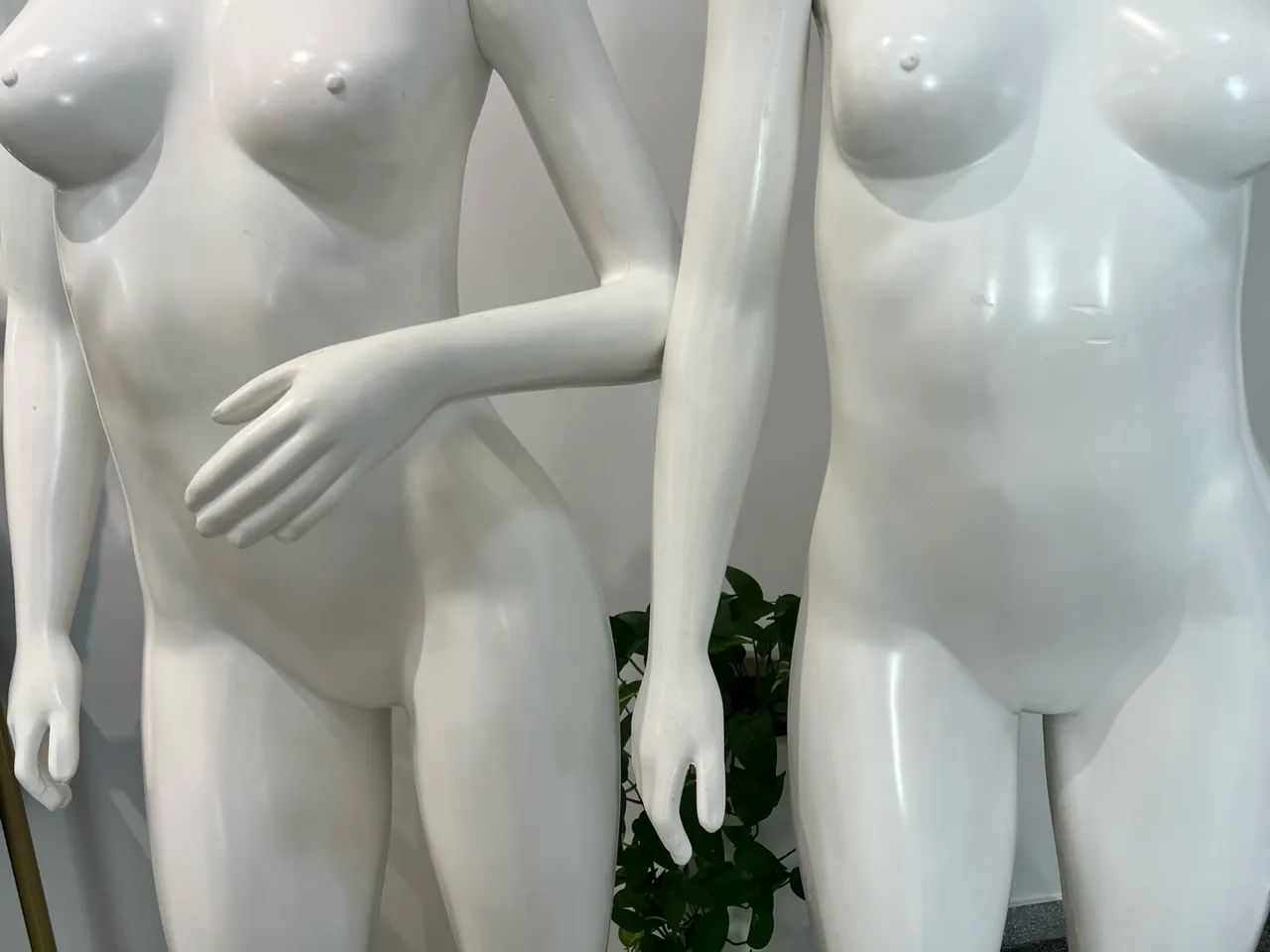 Manequins Feminino Panicat - Foto 4