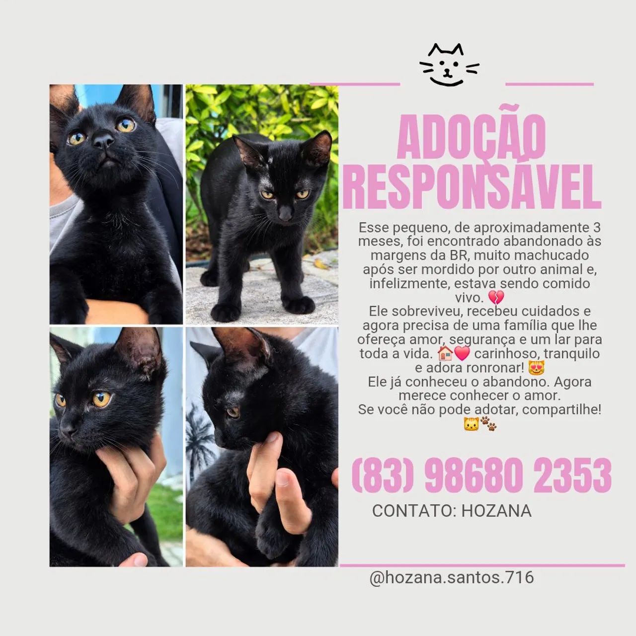 Doação responsável