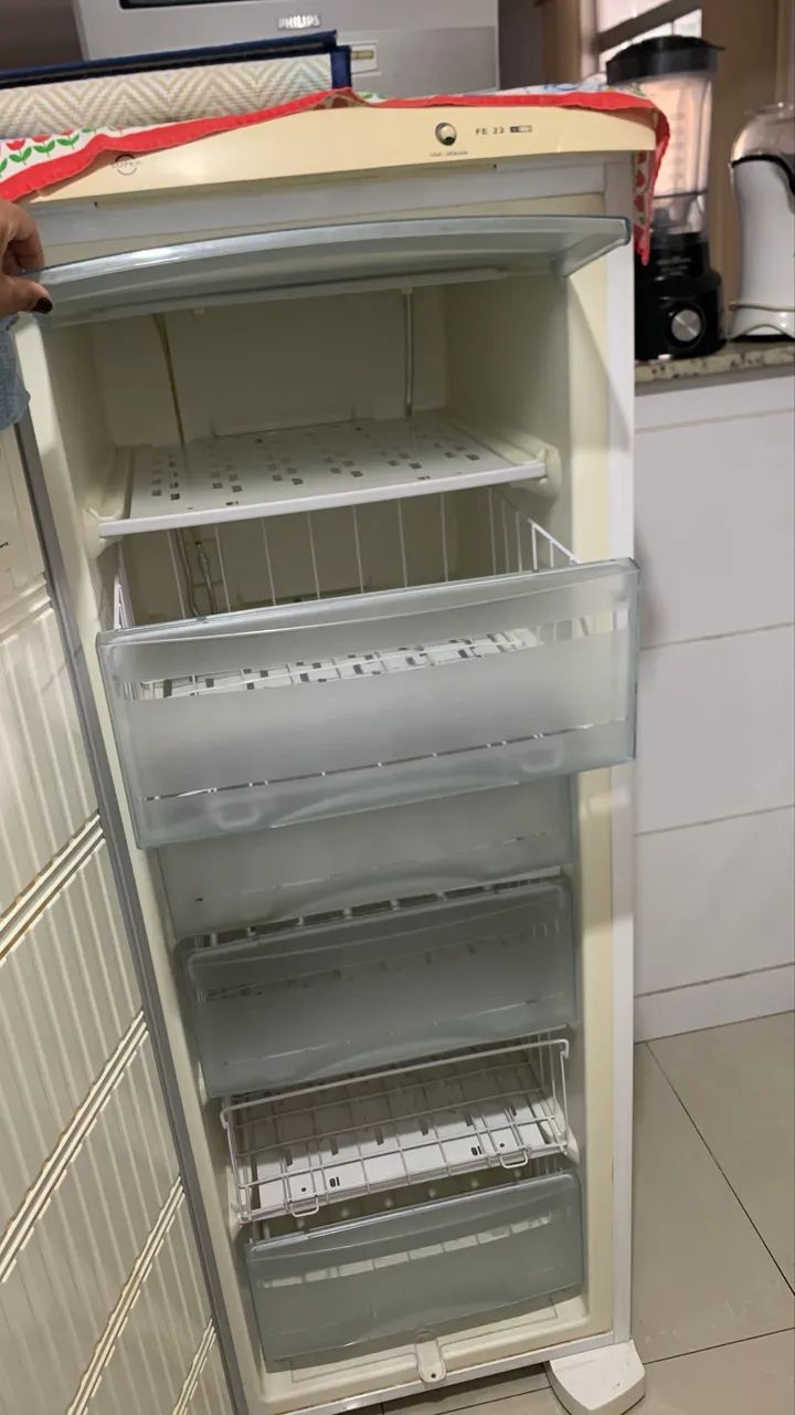 Freezer Vertical Electrolux FE22 
