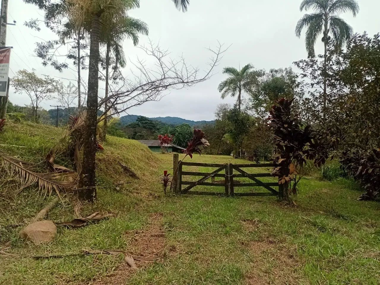 Chácara à Venda em Potinga  Guaraqueçaba/PR
