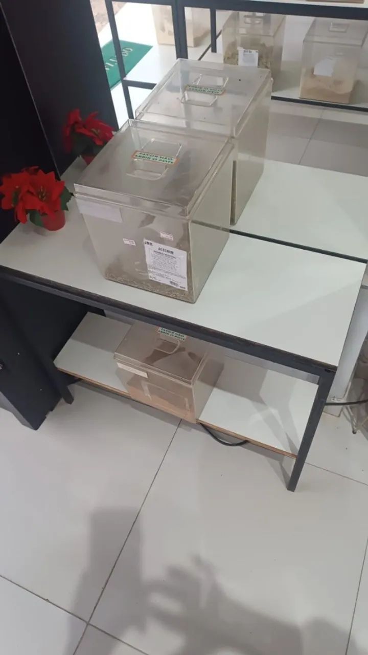 Moveis, aparelhos e eletroeletrônicos de loja de produtos naturais... 