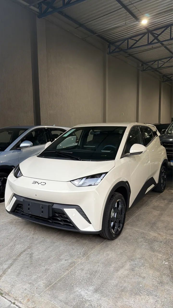 BYD Dolphin Mini (Elétrico) 2027