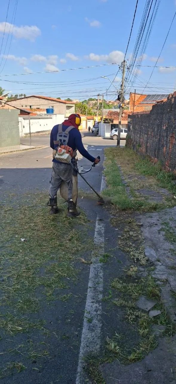 Corte árvores  aplicação  de veneno  capina e roçagem  - Foto 3