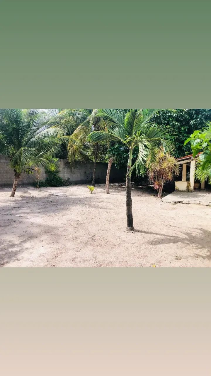 Terreno sítio de 1.425 m2 no bairro olho dÁgua Eusébio - Foto 5